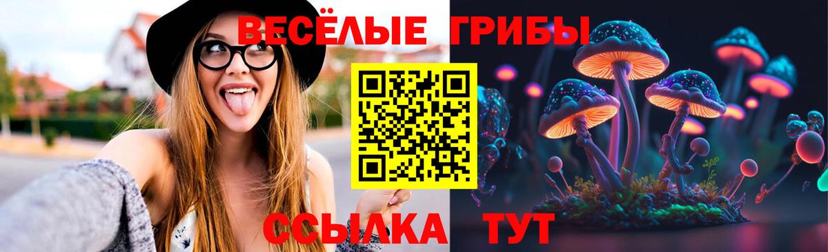 Псилоцибиновые грибы Psilocybine cubensis Пугачёв