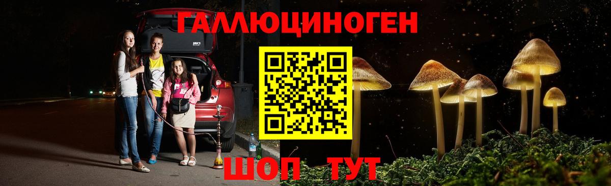 Пугачёв  Галлюциногенные грибы Psilocybine cubensis  Вход с VPN 